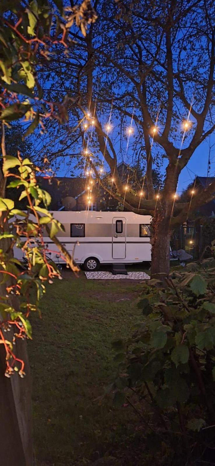 Weberhof-Muenster Glamping Hotel Ngoại thất bức ảnh