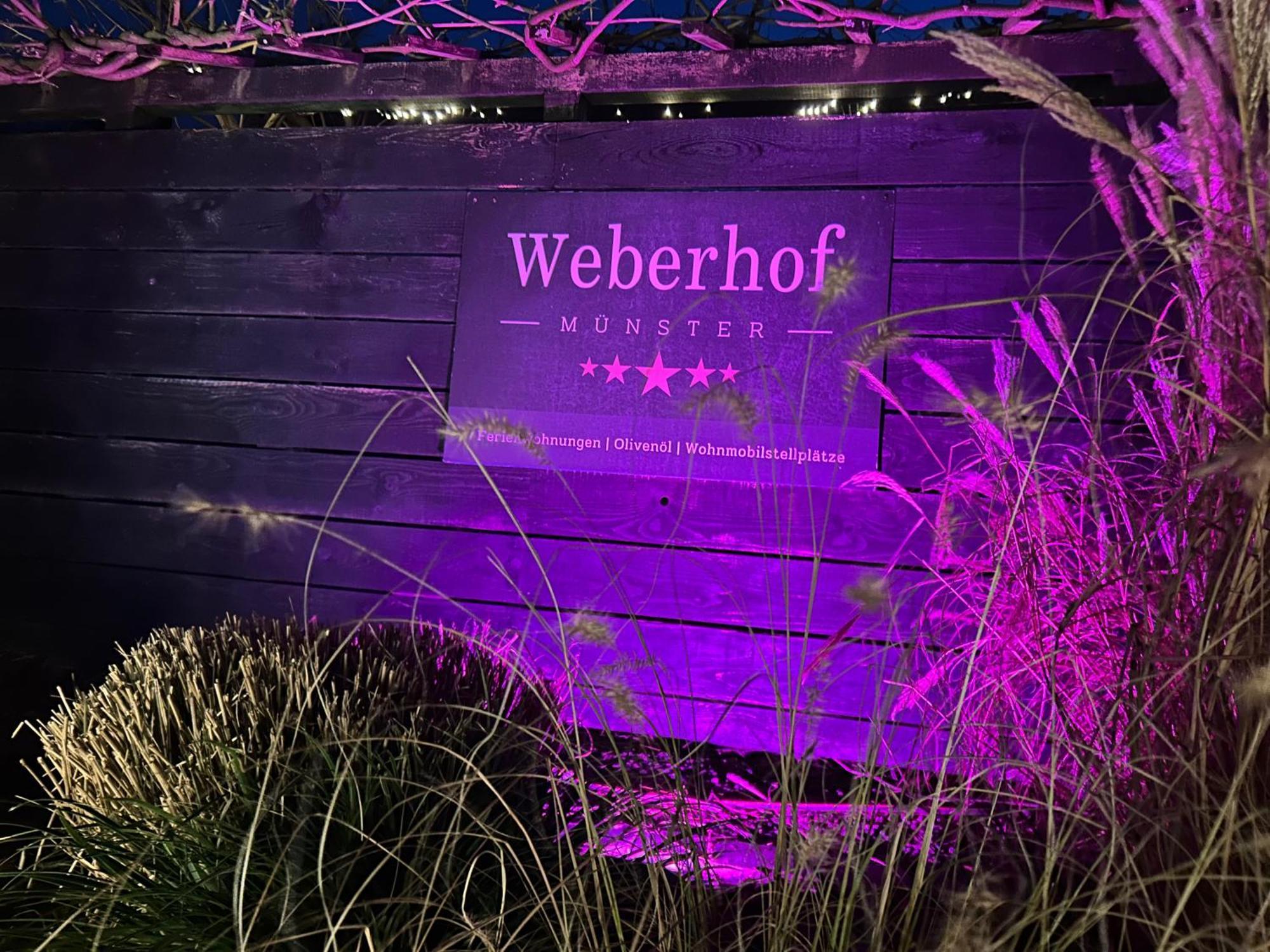 Weberhof-Muenster Glamping Hotel Ngoại thất bức ảnh